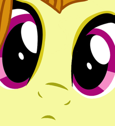 Size: 500x549 | Tagged: safe, artist:grapefruitface1, derpibooru exclusive, part of a set, adagio dazzle, pony, equestria girls, g4, my little pony equestria girls: rainbow rocks, close up series, close-up, confused, cute, equestria girls ponified, extreme close-up, face, female, ponified, solo