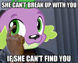 Size: 620x500 | Tagged: safe, spike, dog, equestria girls, g4, the break up breakdown, image macro, male, meme, roll safe, solo, spike the dog