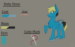 Size: 1900x1200 | Tagged: safe, artist:moonakart13, artist:moonaknight13, oc, oc only, oc:ruby stone, pegasus, pony, cutie mark, male, next generation, parent:oc:taylor queen, parent:princess cadance, raised hoof, reference sheet, scar, sewing needle, solo, stallion, text, unshorn fetlocks