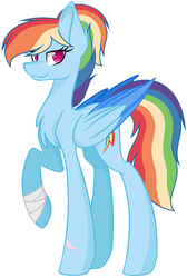 Size: 1544x2300 | Tagged: safe, artist:emabases, rainbow dash, pegasus, pony, g4, alternate hairstyle, alternate universe, backwards cutie mark, bandage, base used, colored wings, colored wingtips, female, mare, scar, simple background, smiling, solo, white background, wings