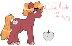 Size: 1814x1160 | Tagged: safe, artist:seasaltsailor, oc, oc only, oc:crab apple, earth pony, pony, female, freckles, mare, offspring, parent:big macintosh, parent:marble pie, parents:marblemac, simple background, solo, transparent background, unshorn fetlocks