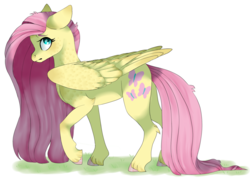 Size: 1244x888 | Tagged: safe, artist:featheringsilence, fluttershy, pegasus, pony, g4, female, mare, simple background, walking, white background