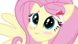 Size: 7680x4320 | Tagged: safe, artist:efk-san, fluttershy, equestria girls, g4, absurd resolution, blushing, cute, daaaaaaaaaaaw, female, recolor, show accurate, shyabetes, simple background, solo, transparent background