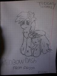 Size: 1200x1600 | Tagged: safe, artist:terminalhash, rainbow dash, pony, g4, female, graph paper, sketch, solo, traditional art