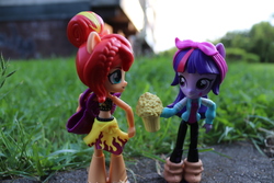 Size: 6000x4000 | Tagged: safe, artist:artofmagicpoland, sunset shimmer, twilight sparkle, alicorn, equestria girls, g4, cider, doll, equestria girls minis, female, irl, looking at each other, mug, offering, photo, tankard, toy, twilight sparkle (alicorn)