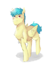 Size: 1536x2048 | Tagged: safe, artist:mad-maker-cat, oc, oc only, pegasus, pony, male, simple background, solo, stallion, white background
