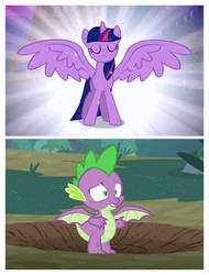 Size: 3106x4096 | Tagged: safe, edit, edited screencap, screencap, spike, twilight sparkle, alicorn, dragon, pony, g4, magical mystery cure, molt down, season 3, season 8, claws, comparison, crater, dragon wings, eyes closed, fangs, female, hooves, horn, horns, male, mare, meme, spread wings, twilight sparkle (alicorn), winged spike, wings