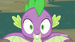 Size: 1920x1080 | Tagged: safe, screencap, spike, g4, molt down, discovery family logo, winged spike, wings