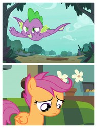 Size: 3106x4096 | Tagged: safe, screencap, scootaloo, spike, pegasus, pony, g4, molt down, everyone but scootaloo can fly, female, filly, male, sad, scootaloo can't fly, scootasad, winged spike, wings