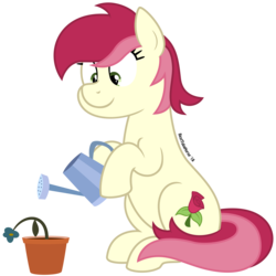 Size: 4688x4688 | Tagged: safe, artist:besttubahorse, roseluck, earth pony, pony, g4, absurd resolution, cute, dead flowers, female, flower, flower pot, hoof hold, lightly watermarked, mare, simple background, sitting, solo, transparent background, vector, watering can, watermark