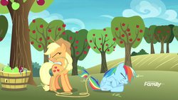 Size: 1920x1080 | Tagged: safe, screencap, applejack, rainbow dash, earth pony, pegasus, pony, grannies gone wild, apple, apple tree, butt bump, falling, female, food, gritted teeth, lasso, literal butthurt, pain, rope, sitting, smack, smack dat ass, sweet apple acres, this is going to hurt, this will end in pain, tree