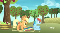 Size: 1920x1080 | Tagged: safe, screencap, applejack, rainbow dash, earth pony, pegasus, pony, g4, grannies gone wild, apple, apple tree, female, food, lasso, mare, out of context, rope, sitting, surprised, sweet apple acres, tail, touch, tree, wide eyes