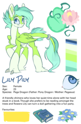 Size: 2372x3618 | Tagged: safe, artist:kez, oc, oc only, oc:lily pily, dracony, hybrid, female, high res, mare, reference sheet, simple background, solo, transparent background