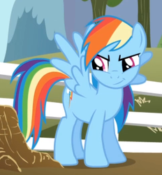 Size: 486x524 | Tagged: safe, screencap, rainbow dash, pegasus, pony, g4, the ticket master, cropped, female, fence, solo