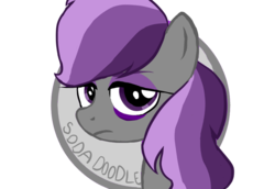 Size: 869x597 | Tagged: safe, artist:sodadoodle, derpibooru exclusive, oc, oc only, oc:scintillalight, pegasus, pony, bags under eyes, circle, eyebrows, female, frown, looking at you, profile picture, simple background, solo, text, transparent background, unimpressed