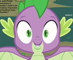 Size: 800x650 | Tagged: safe, edit, edited screencap, editor:korora, screencap, spike, g4, molt down, cropped, implied smolder, misspelling, spread wings, text, winged spike, wings