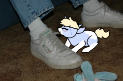 Size: 540x359 | Tagged: safe, artist:nootaz, oc, oc:nootaz, human, pony, biting, clothes, human and pony, irl, photo, ponies in real life, ponified animal photo, shoes