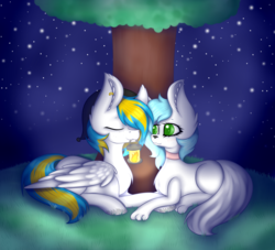 Size: 4407x4000 | Tagged: safe, artist:mimihappy99, oc, oc only, oc:bloue, oc:kaylight, pegasus, pony, couple, cute, lantern, night, shipping, stars, tree