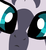 Size: 500x549 | Tagged: safe, artist:grapefruitface1, derpibooru exclusive, edit, part of a set, zecora, pony, zebra, g4, close up series, close-up, confused, cute, extreme close-up, female, looking at you, meme, solo, stare, zecorable