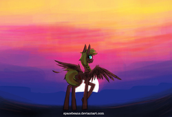 Size: 1000x683 | Tagged: safe, artist:spacebeans, oc, oc only, oc:sunset streak, pegasus, pony, female, mare, offspring, parent:big macintosh, parent:fluttershy, parents:fluttermac, solo, spread wings, sunset, wings