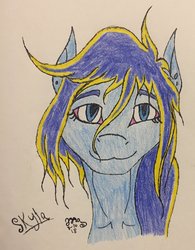 Size: 1024x1315 | Tagged: safe, artist:lilithscure, oc, oc only, oc:skyla, pony, bust, portrait, smiling, solo, traditional art