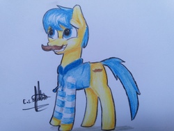 Size: 4128x3096 | Tagged: safe, artist:ironbeastz, oc, oc only, oc:mustache ben, earth pony, pony, clothes, facial hair, grin, hoodie, male, moustache, smiling, solo, stallion, traditional art