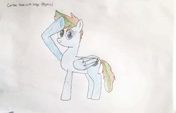 Size: 1115x717 | Tagged: safe, artist:shivermint, oc, oc only, oc:shivermint, pegasus, pony, male, salute, solo, stallion, traditional art