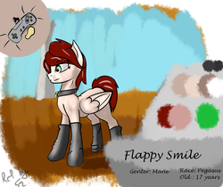 Size: 2500x2100 | Tagged: safe, artist:endelthepegasus, oc, oc only, oc:flappy smile, pegasus, pony, clothes, collar, female, high res, reference sheet, socks, solo