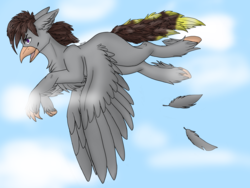 Size: 2800x2100 | Tagged: safe, artist:maisha, oc, oc:luxor, classical hippogriff, hippogriff, flying, high res, hippogriffied, mane feathers, missing cutie mark, species swap, tail feathers