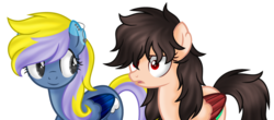 Size: 1023x449 | Tagged: safe, artist:bloodlover2222, oc, oc only, oc:anna, oc:gabriela, pegasus, pony, female, mare, simple background, transparent background, two toned wings