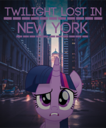 Size: 1065x1280 | Tagged: safe, artist:themightylinus1, twilight sparkle, alicorn, pony, g4, chicago, confused, female, irl, parody, photo, text, twilight sparkle (alicorn), wrong city