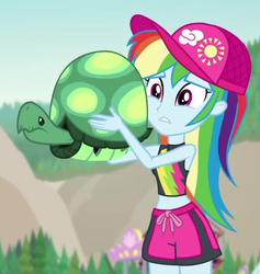 Size: 591x624 | Tagged: safe, screencap, rainbow dash, tank, tortoise, aww... baby turtles, equestria girls, g4, my little pony equestria girls: better together, cropped, female