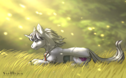 Size: 1280x800 | Tagged: source needed, safe, artist:marinavermilion, oc, oc only, oc:yiazmat, pony, unicorn, commission, lying down, male, meadow, prone, solo