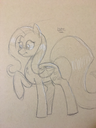 Size: 3024x4032 | Tagged: safe, artist:hypno, fluttershy, pegasus, pony, g4, chest fluff, female, grayscale, looking at something, looking down, mare, monochrome, raised hoof, simple background, sketch, solo, standing, traditional art