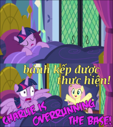 Size: 1280x1440 | Tagged: safe, edit, edited screencap, screencap, fluttershy, twilight sparkle, alicorn, pony, a health of information, g4, bed, bedroom, saddle bag, startled, twilight sparkle (alicorn), vietnam, vietnam flashback, vietnam war, vietnamese