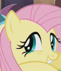 Size: 238x279 | Tagged: safe, screencap, fluttershy, pony, g4, rarity takes manehattan, season 4, animated, cropped, cute, female, grin, hoofy-kicks, looking at you, shyabetes, smiling, solo, tapping