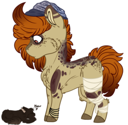 Size: 1978x1929 | Tagged: safe, artist:jeesharon, oc, oc only, oc:ruth, cat, earth pony, pony, chibi, female, mare, simple background, solo, transparent background