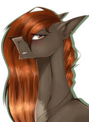 Size: 2500x3388 | Tagged: safe, artist:lastaimin, oc, oc only, earth pony, pony, bust, female, high res, mare, portrait, simple background, solo, transparent background