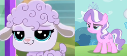 Size: 954x418 | Tagged: safe, screencap, diamond tiara, pony, sheep, g4, comparison, female, littlest pet shop, littlest pet shop a world of our own, petula woolwright