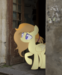 Size: 1280x1547 | Tagged: safe, artist:mikoneerd, oc, oc:ivory buttercup, pegasus, pony, female, irl, mare, photo, ponies in real life, solo
