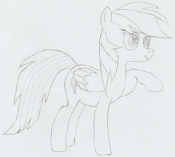 Size: 1227x1104 | Tagged: safe, artist:rainbowmaned, rainbow dash, pony, g4, female, sketch, solo, traditional art