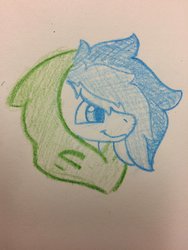 Size: 1536x2048 | Tagged: safe, oc, oc only, oc:frostyee, pegasus, pony, clothes, colt, hoodie, male, solo, traditional art