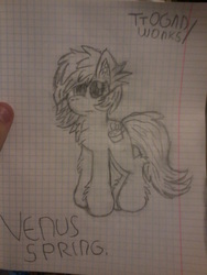 Size: 1200x1600 | Tagged: safe, artist:terminalhash, oc, oc only, oc:venus spring, pony, graph paper, lined paper, sketch, solo, traditional art