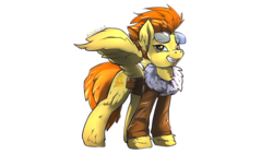 Size: 1920x1080 | Tagged: safe, artist:noben, spitfire, pegasus, pony, g4, clothes, female, jacket, leather jacket, simple background, sunglasses, transparent background