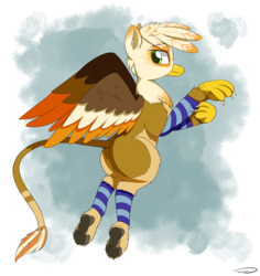 Size: 3233x3423 | Tagged: safe, artist:taurson, oc, oc only, oc:ember burd, griffon, colored wings, eared griffon, flying, griffon oc, high res, leg warmers, looking back, male, multicolored wings, paw pads, paws, solo, talons, underpaw