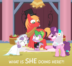 Size: 1100x1000 | Tagged: safe, artist:dm29, big macintosh, spike, sugar belle, sweetie belle, dragon, earth pony, pony, unicorn, g4, the break up breakdown, awkward, barn, big macintosh gets all the mares, bowtie, clothes, female, filly, hat, implied shipping, implied straight, implied sugarmac, implied sweetiemac, male, mare, marriage, pun, pun in the tags, sequel, shipping, stallion, straight, top hat, tuxedo, veil, wedding, wedding belles, wedding bells, wedding veil