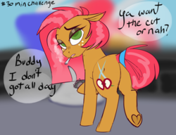 Size: 3000x2300 | Tagged: safe, artist:veesocks, babs seed, earth pony, pony, g4, 30 minute art challenge, cigarette, dialogue, high res, impatient, mirror, older, salon, smoking, underhoof