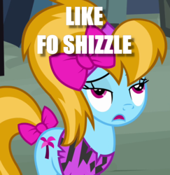 Size: 699x720 | Tagged: safe, edit, edited screencap, screencap, turf, pony, g4, my little pony: friendship is magic, putting your hoof down, cropped, dialogue, female, image macro, meme, solo