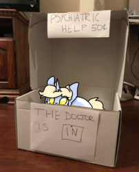 Size: 540x667 | Tagged: safe, artist:nootaz, oc, oc only, oc:nootaz, pony, unicorn, box, cardboard box, cent sign, charlie brown, chibi, cute, female, irl, looking up, lucy van pelt, lucy's advice booth, mare, peeking, photo, ponies in real life, pony in a box, smol, solo