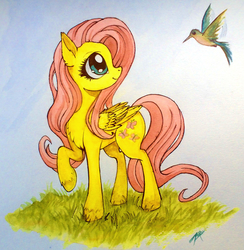 Size: 1300x1330 | Tagged: safe, artist:zetamad, fluttershy, hummingbird, pegasus, pony, g4, cute, female, folded wings, grass, looking at something, looking back, mare, profile, raised hoof, shyabetes, smiling, solo, traditional art, turned head, unshorn fetlocks, watercolor painting